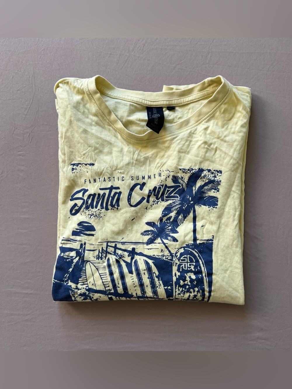 Beachy Santa Cruz Graphic Tee